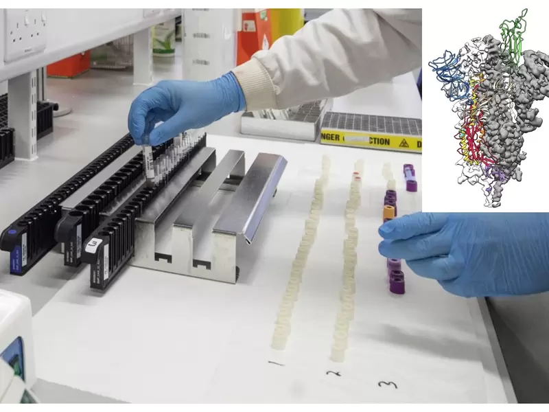 Coronavirus