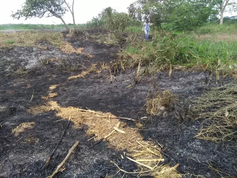 El incendio inició el pasado sábado.