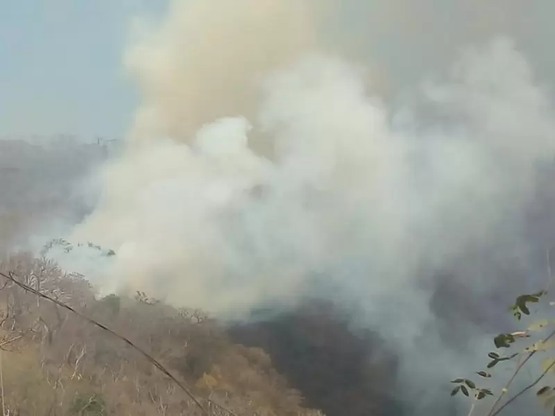 Incendio forestal Incendio forestal