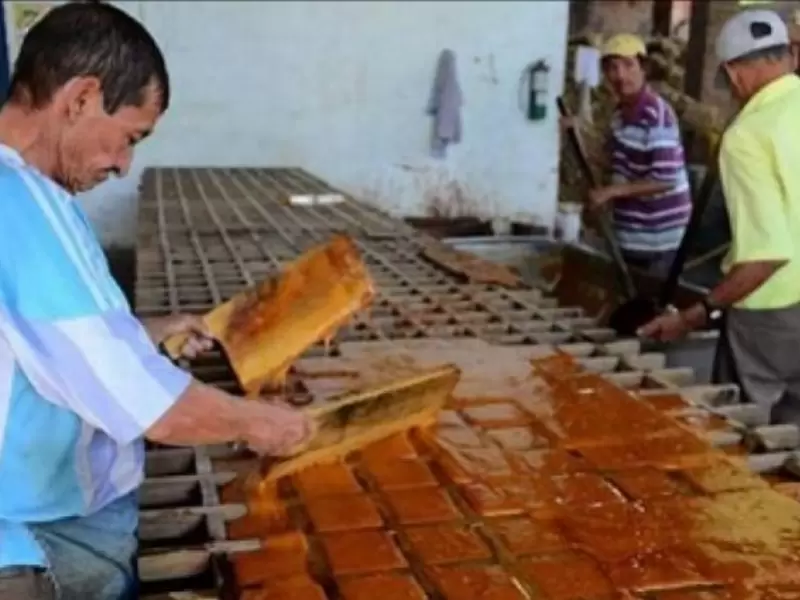 Panela del Tolima