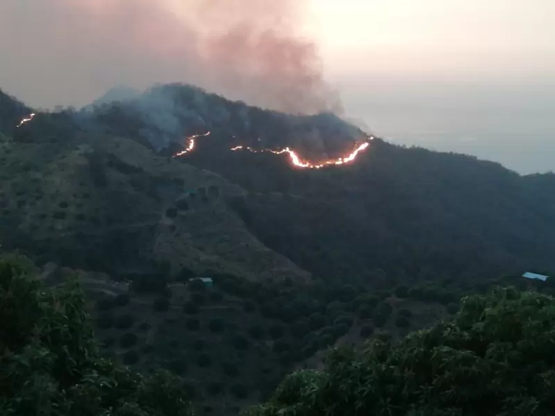 Incendio forestal de gran magnitud