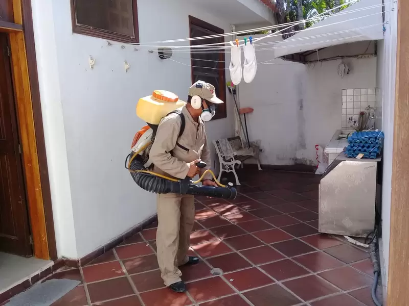 Fumigaron varias viviendas que tenían criaderos de mosquitos.