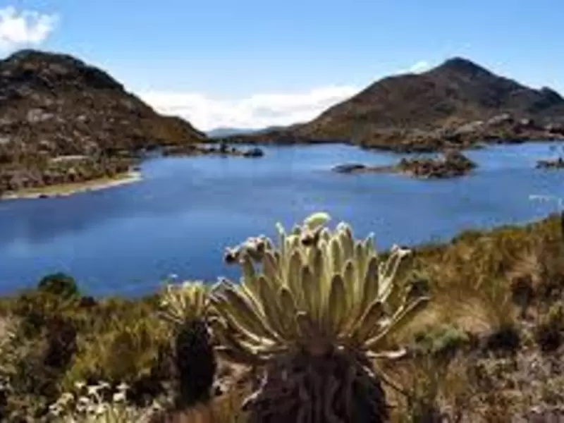La meta es tener mil hectáreas de terreno protegidas en la zona del páramo de Santurbán.