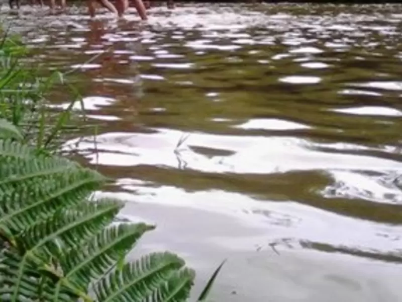 CVC canceló licencia que permitía explotación de materiales de arrastre en río Pance