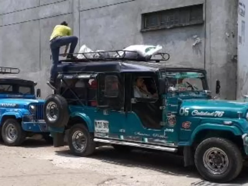 Vehículos camperos