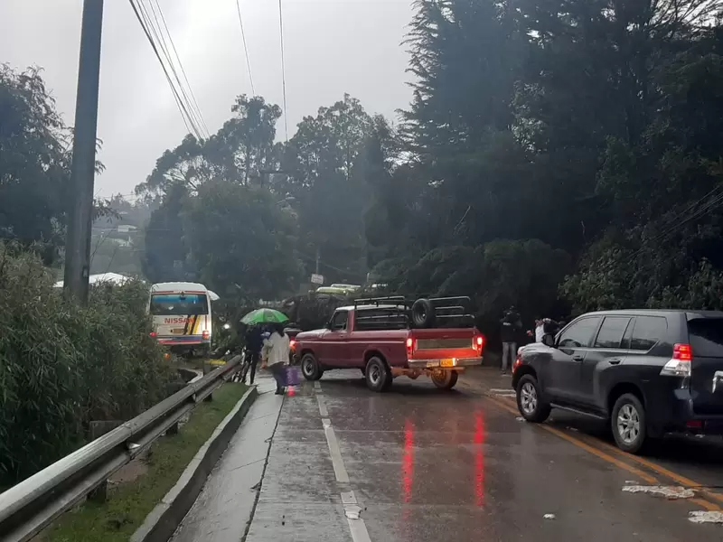 Caída de un árbol en La Calera