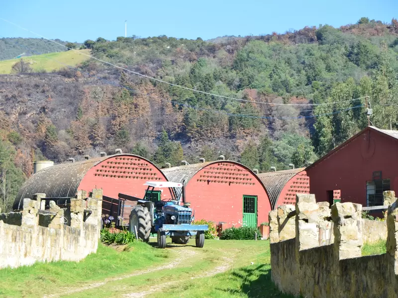 Finca Sanclemente