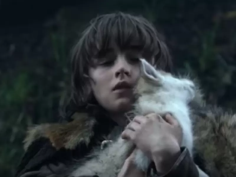 Lobo huargo bebé de Bran Stark (Game of Thrones)