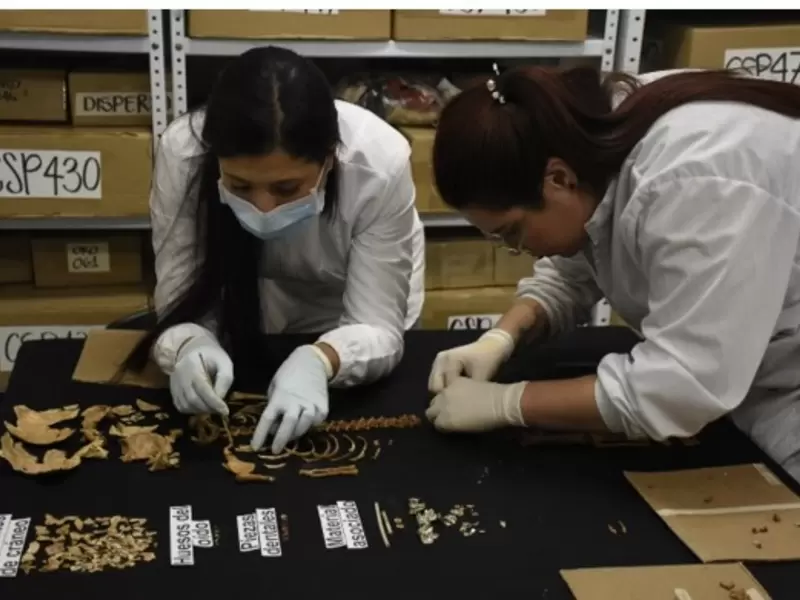 Archivo del Laboratorio de Osteología de la Universidad de Antioquia.