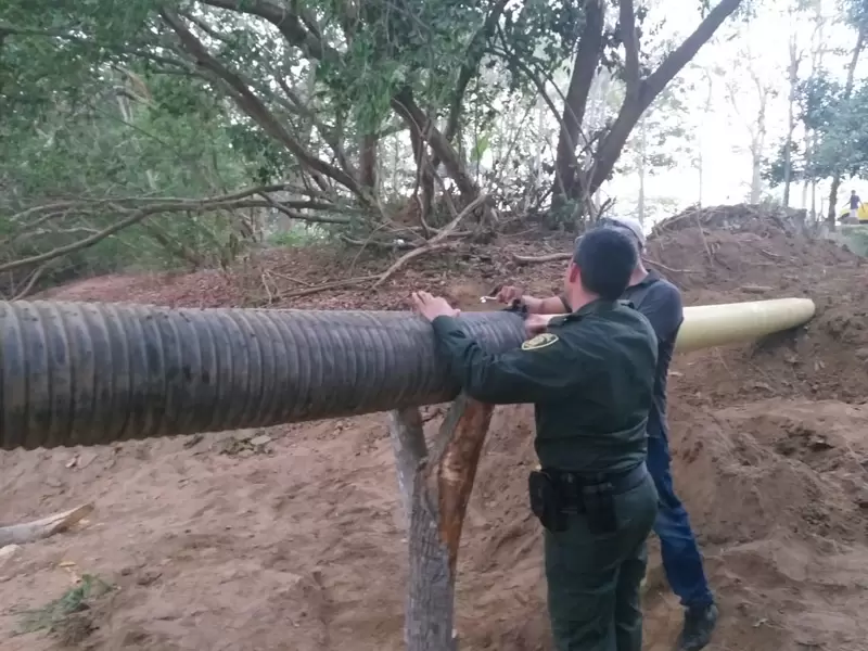 El incendio lleva 14 días.
