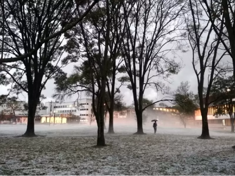 Afectadas 5 Facultades