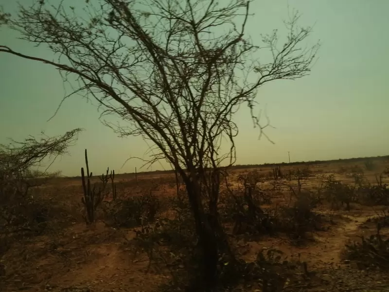 La falta de agua en La Guajira es otro factor para la desnutrición