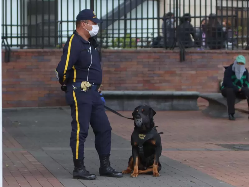 Héroes anónimos en la cuarentena: Los vigilantes