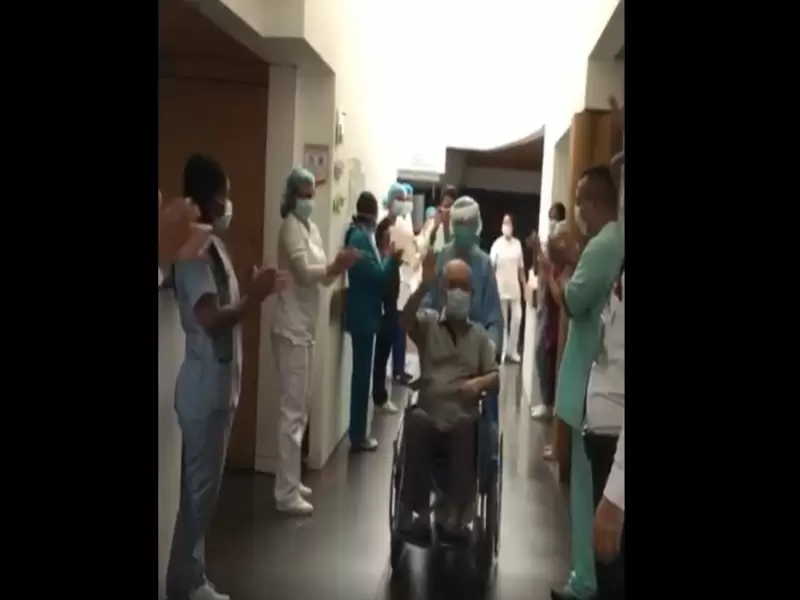 Paciente recuperado Paciente recuperado