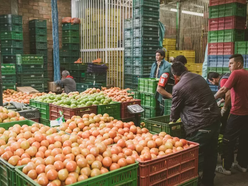 Alimentos