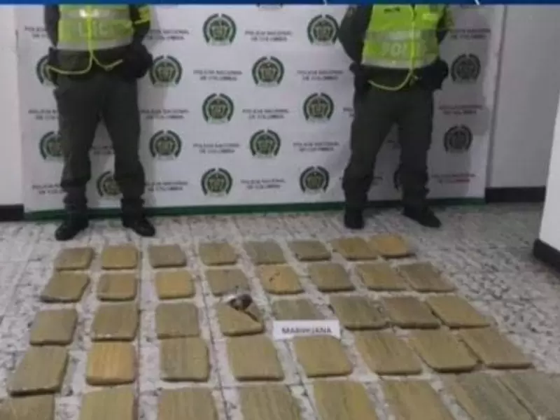 marihuana camuflada