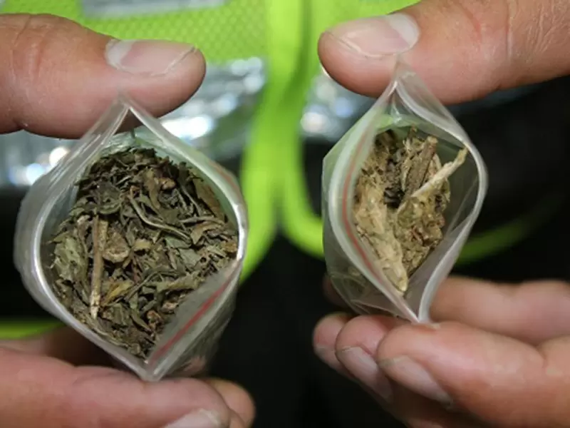 Marihuana