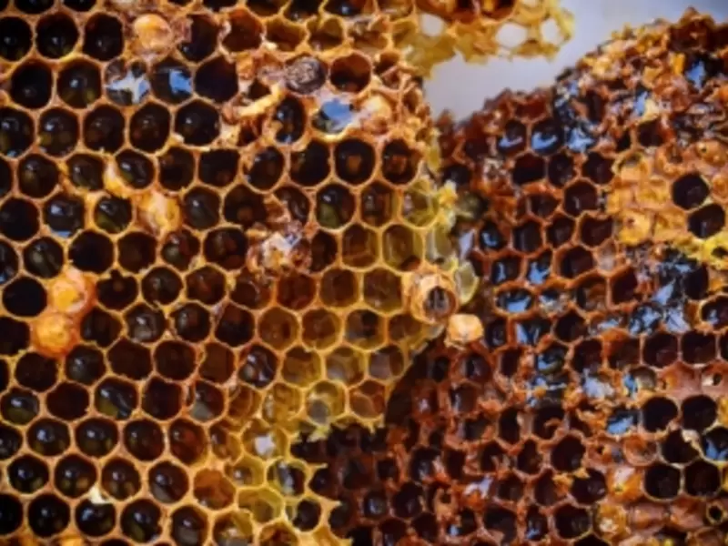 Panal de abejas