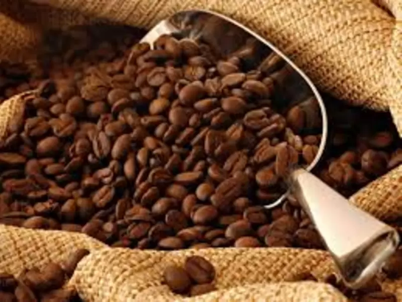 Sacos café