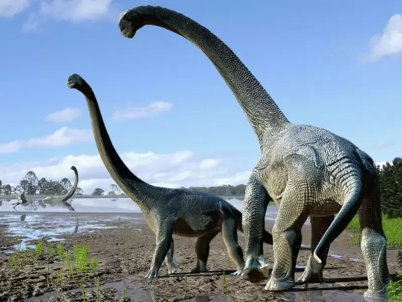 Jugar con dinosaurios de realidad aumentada de Google | RCN Radio Jugar con dinosaurios de realidad aumentada de Google | RCN Radio
