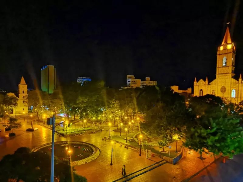 Neiva nocturna