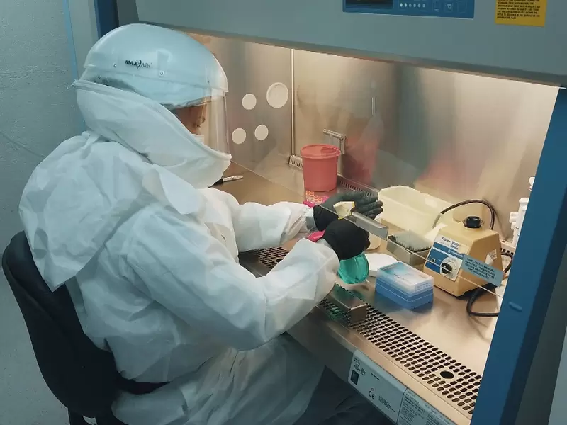 Laboratorio.