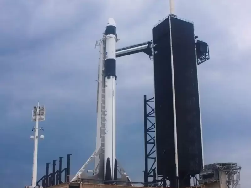 SPACE X