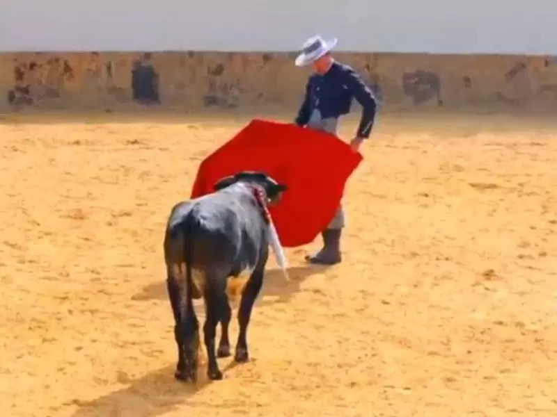 CORRIDAS DE TOROS
