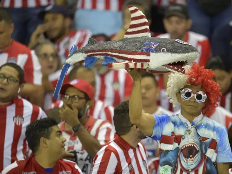 Junior, Copa Libertadores