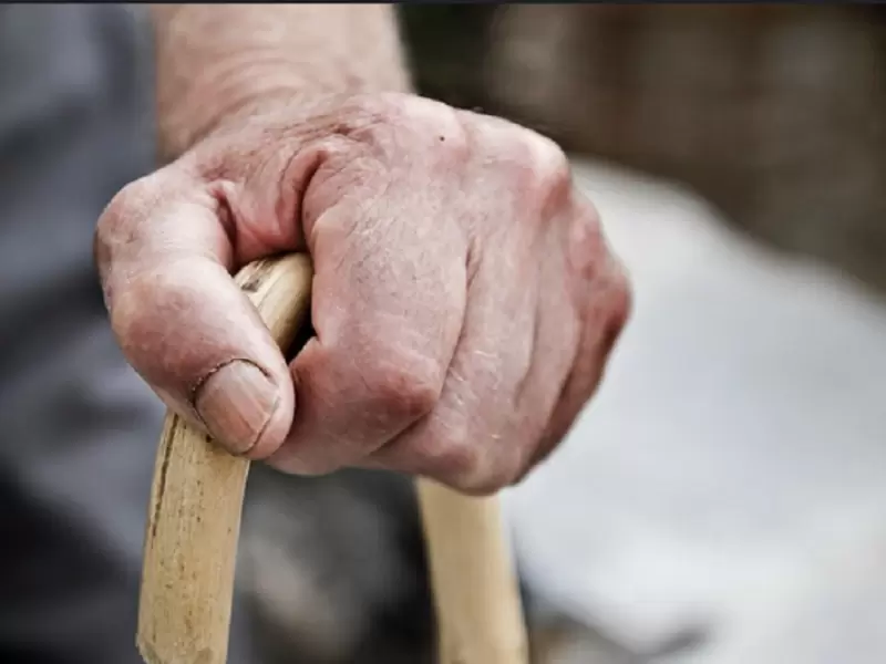 Anciano / Abuelo