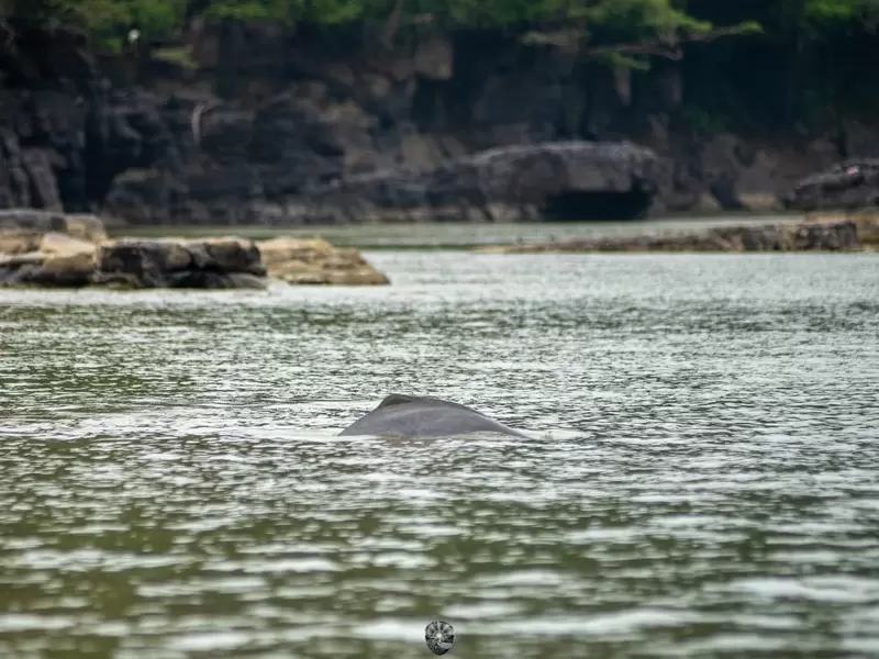 Turismo de Naturaleza en la Amazonia.
