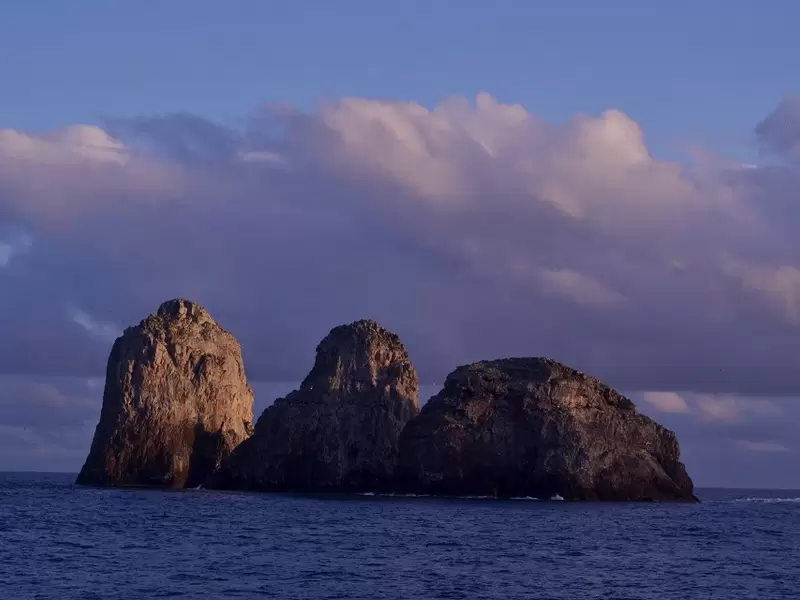 Santuario de Fauna y Flora Malpelo.