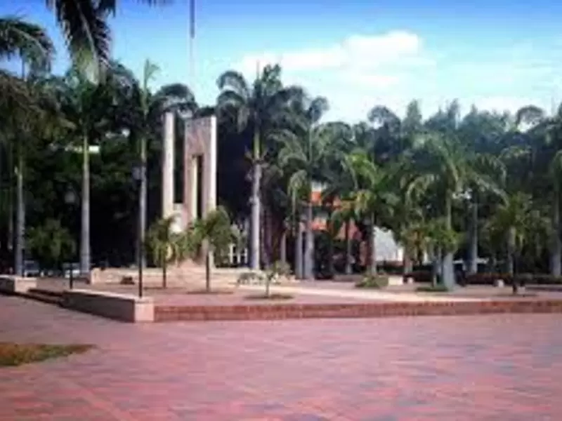 Universidad Francisco de Paula Santander