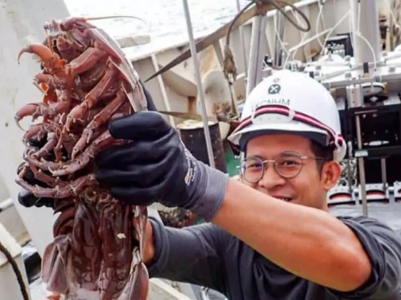 Descubren cucaracha gigante en el fondo del mar