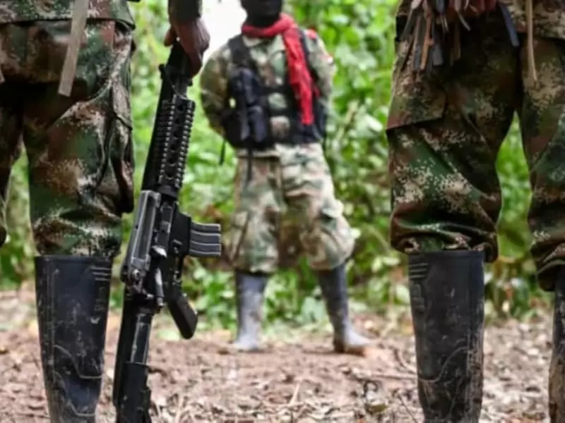 Referencia guerrilla de las FARC
