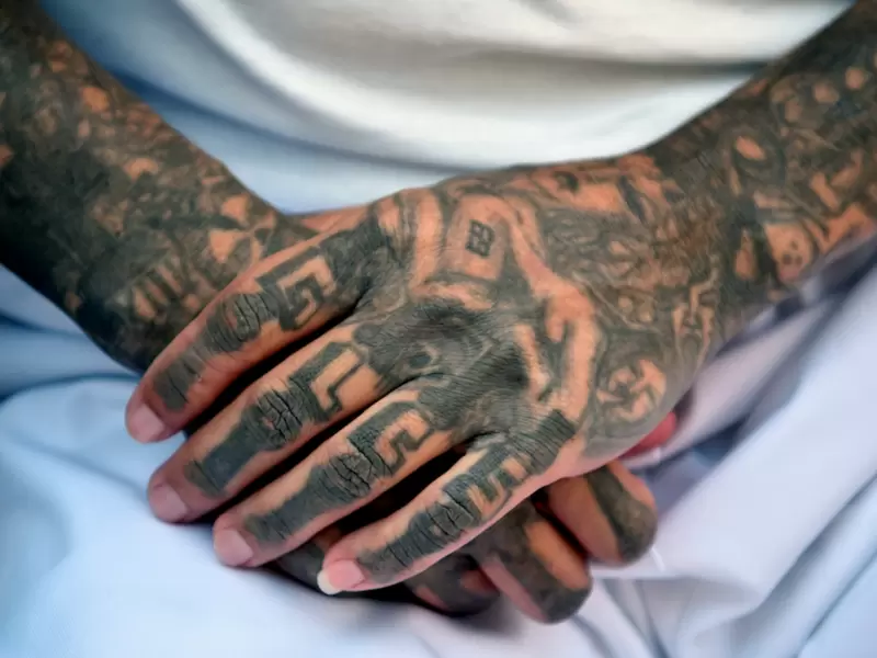 Mara Salvatrucha, MS-13