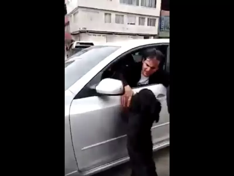 Perro abandonado en Soacha