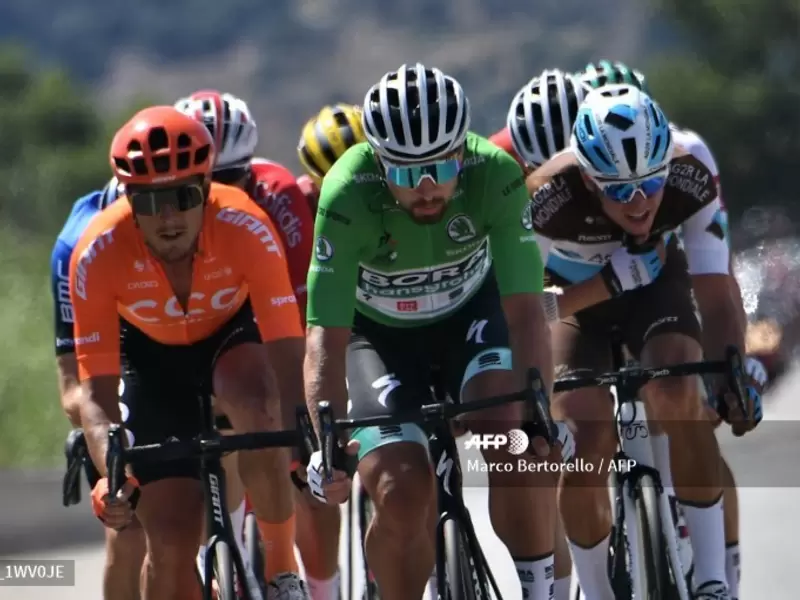 El líder de la clasificación general el corredor local Julián Alaphilippe (Deceuninck-Quick Step)