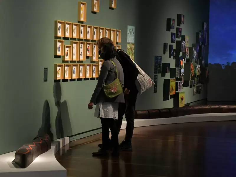 Reapertura Museo Nacional