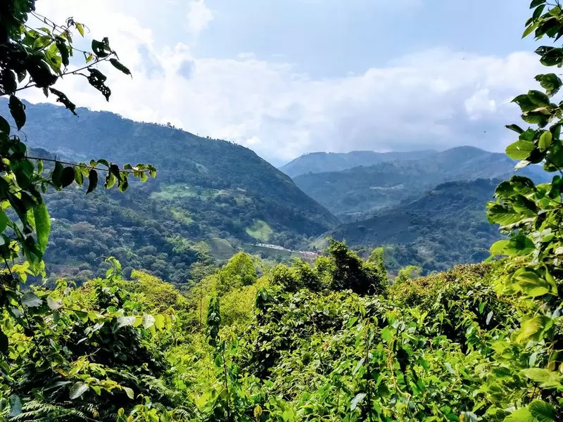Municipio de Génova - Archivo Viviana Viera, ONG Ecogénova