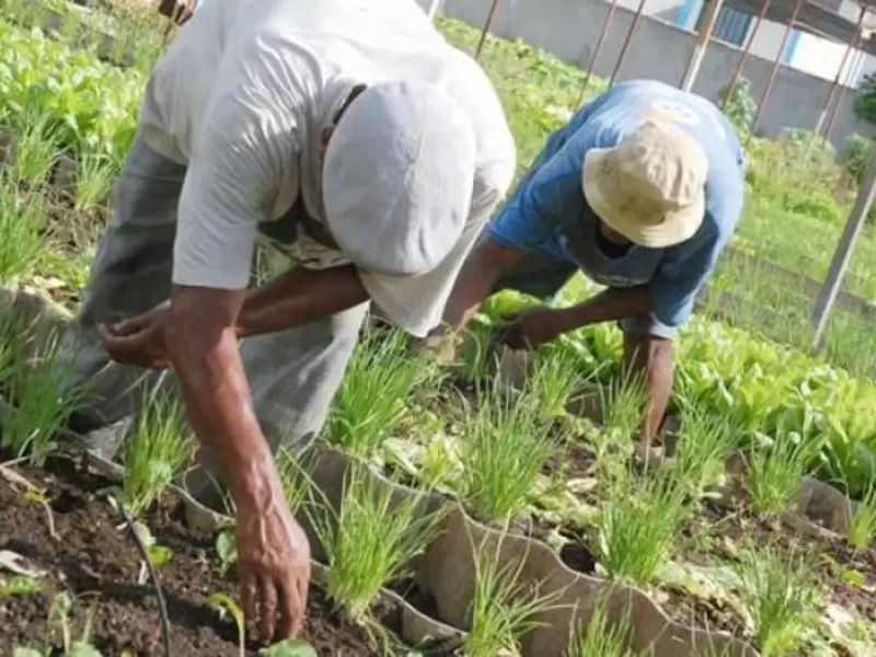 Agricultores del Tolima.