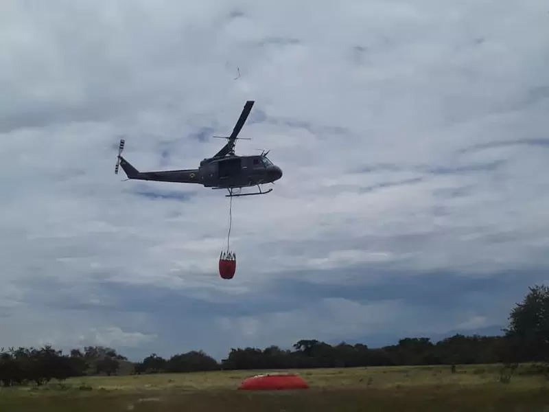 Más de 600 hectáreas afectadas