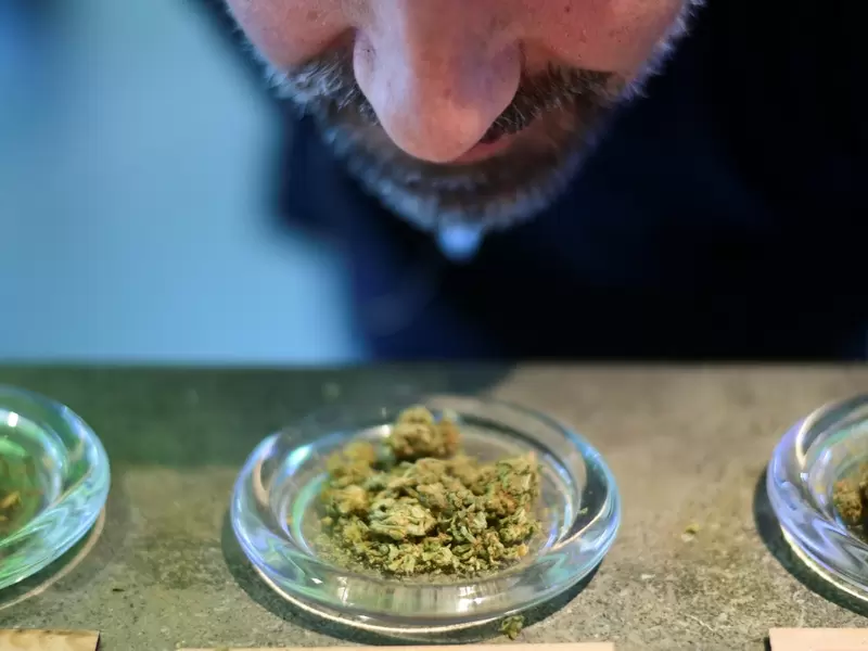 Cannabis