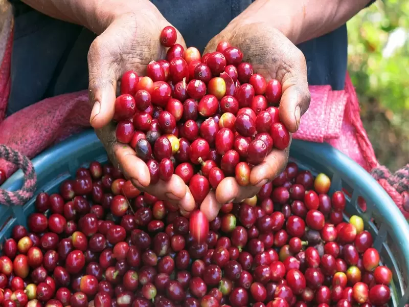 café colombiano