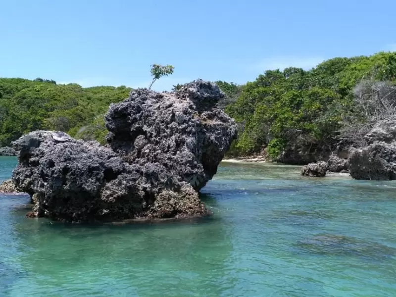 Área protegida en el Caribe colombiano.
