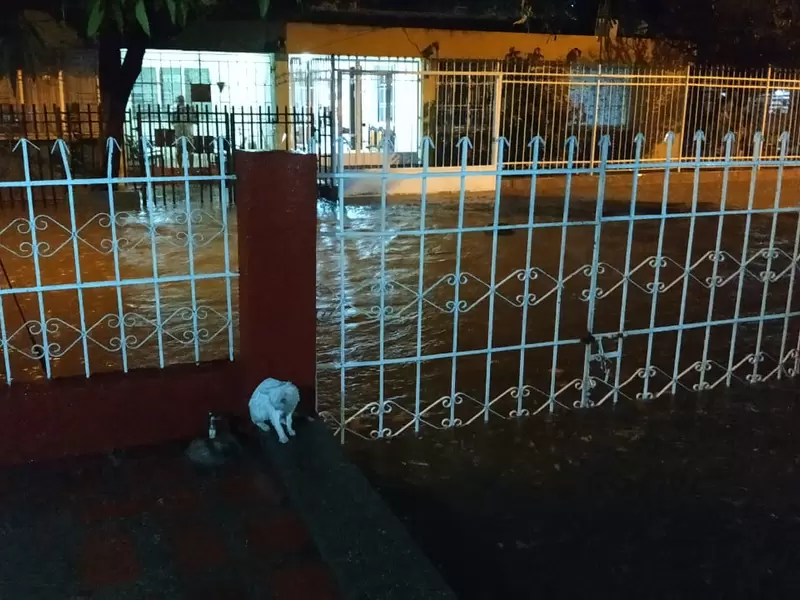 Las lluvias afectaron cerca de 79 barrios de la ciudad