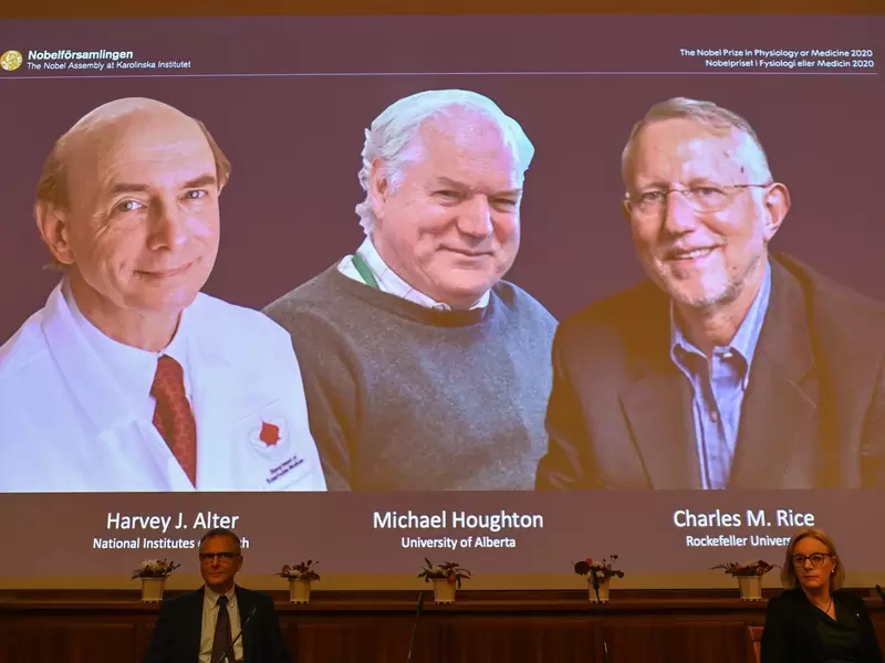 Ganadores de Nobel de Medicina 2020