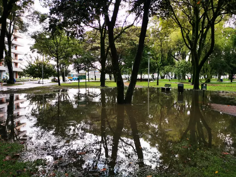 LLUVIAS EN BOGOTÁ LLUVIAS EN BOGOTÁ
