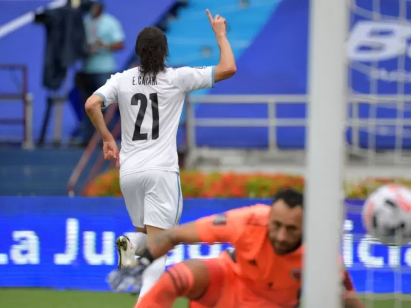 CAVANI CAVANI