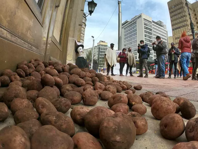 Sobreoferta de papa en Colombia: protesta de paperos en Ministerio de Agricultura